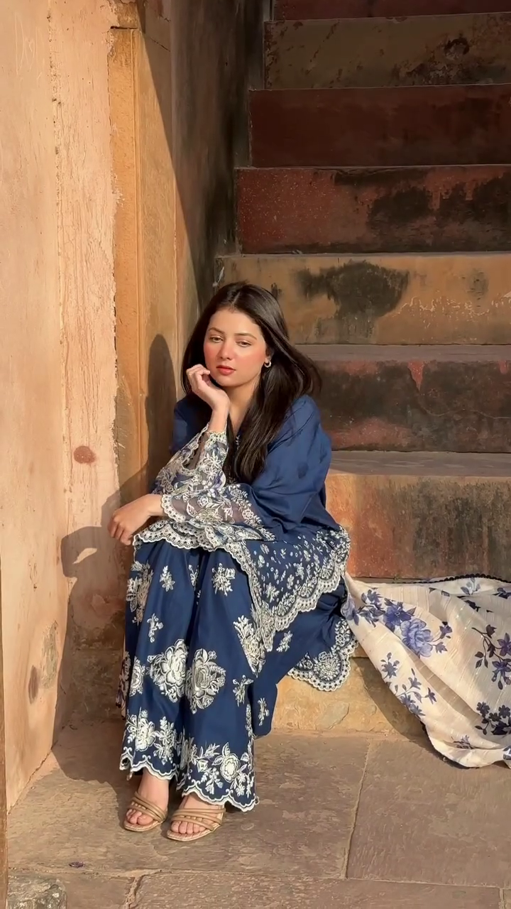 Navy Blue Embroidered Suit Set