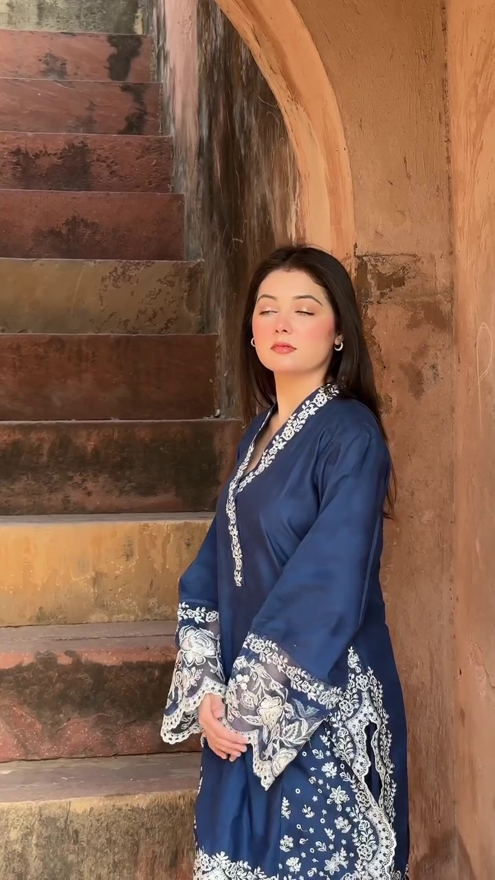 Navy Blue Embroidered Suit Set