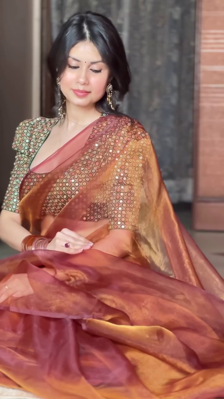Rust Organza Saree